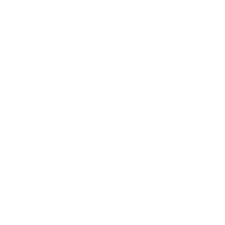 AK icon