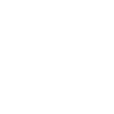 Desert Eagle icon